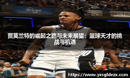 BB贝博艾弗森体育