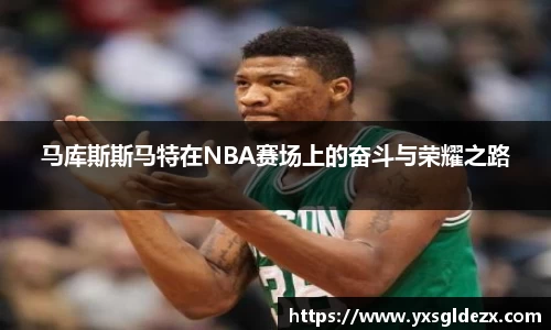 BB贝博艾弗森体育